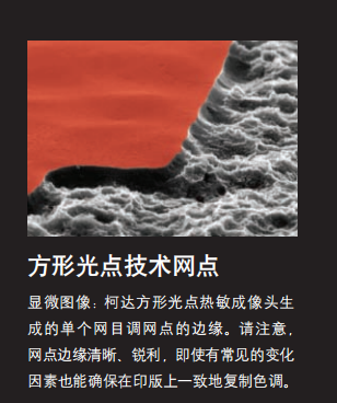 边缘